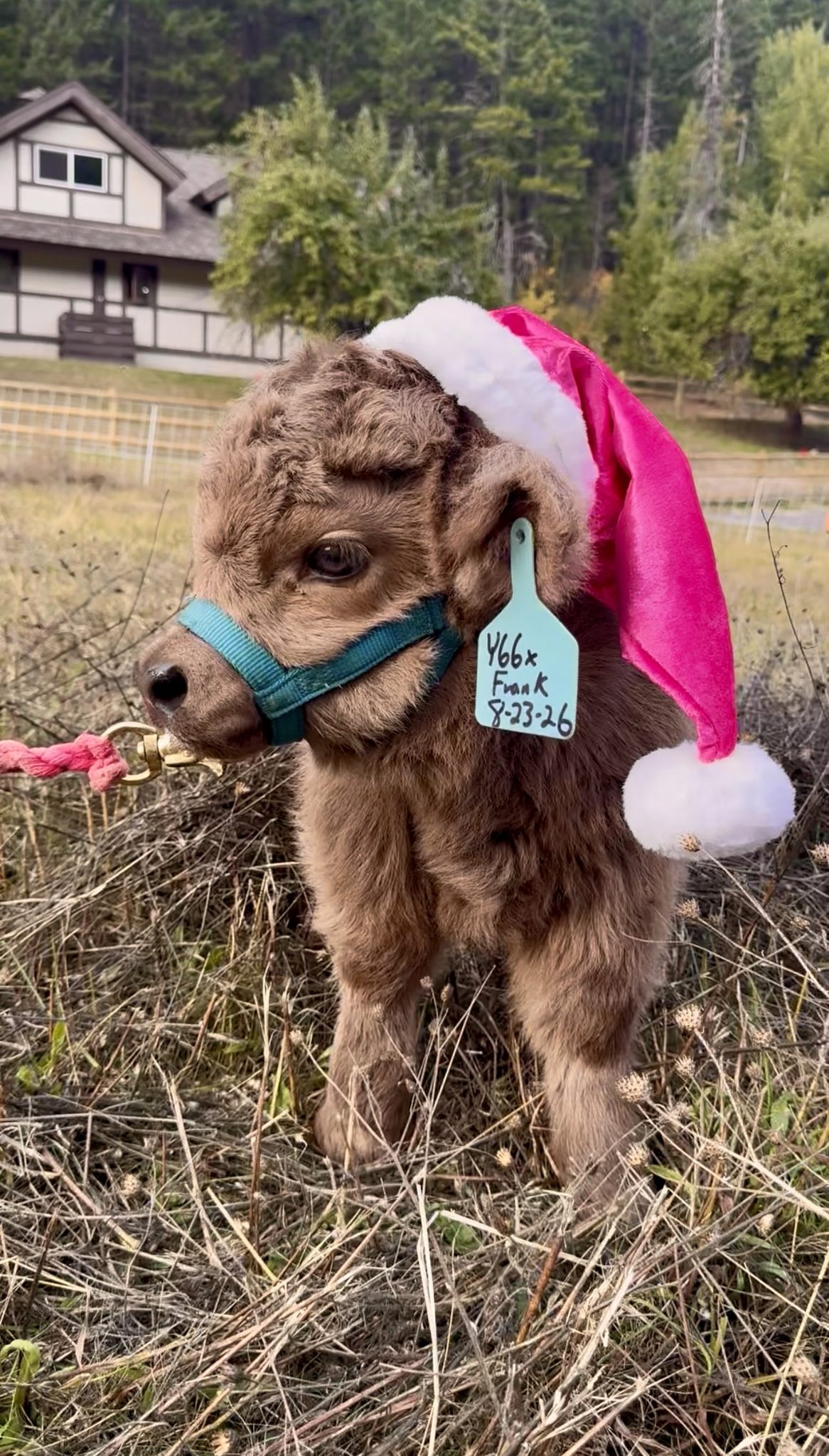 Christmas Inn at Howe Ranch