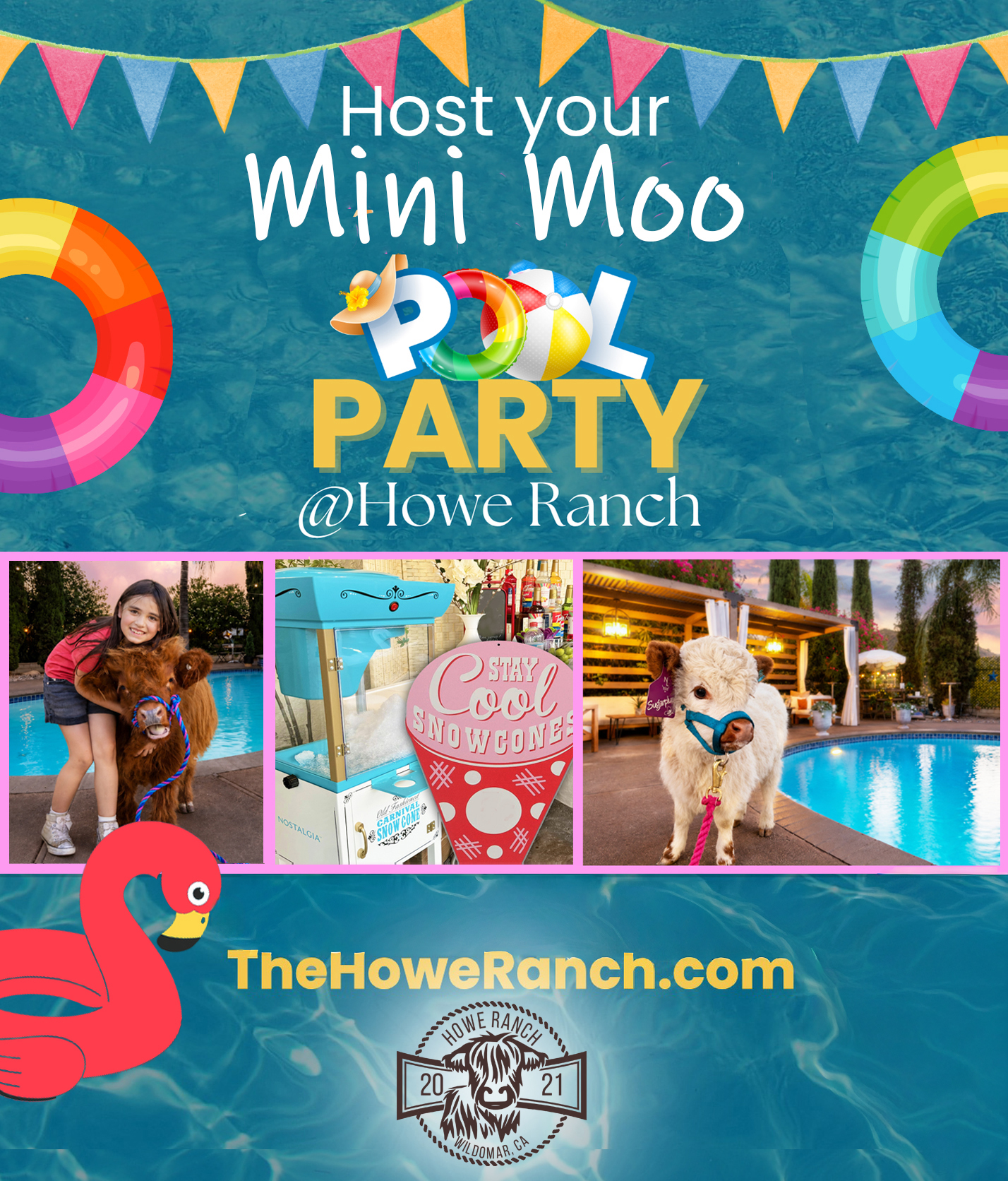 Mini Moo Express