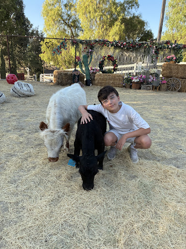 Guest photo