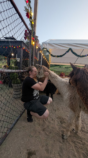 Guest photo
