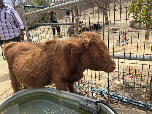 Guest photo