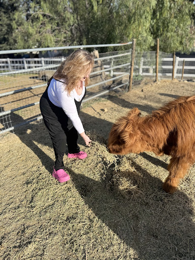 Guest photo