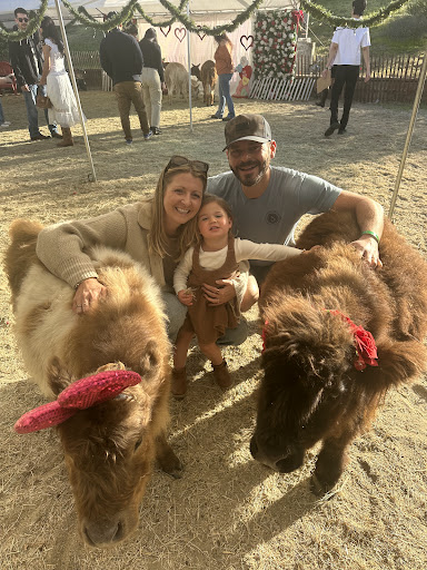 Guest photo