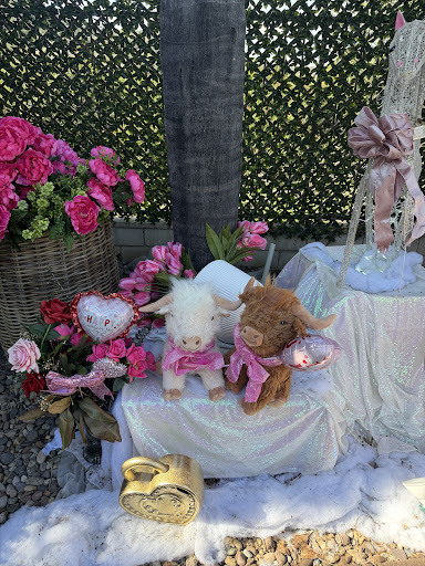 Guest photo