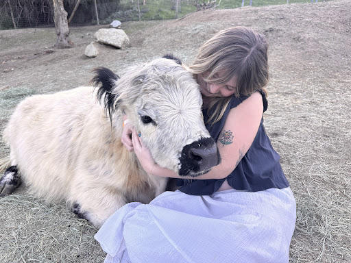 Guest photo