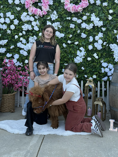 Guest photo