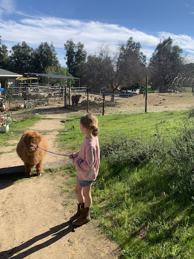 Guest photo