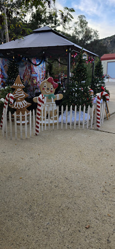 Guest photo