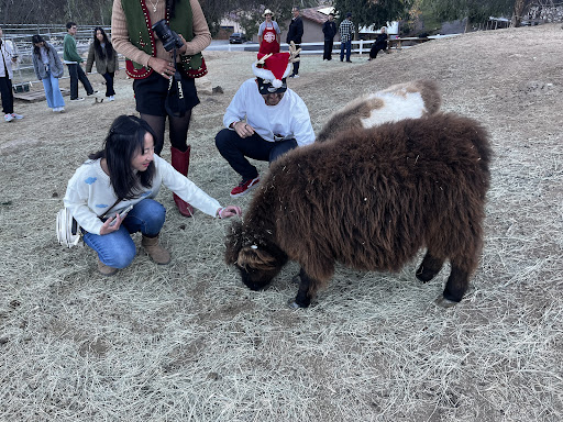 Guest photo
