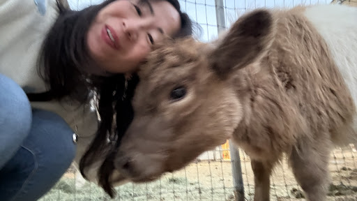 Guest photo