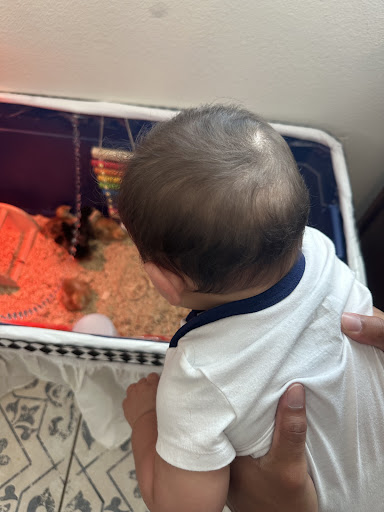 Guest photo