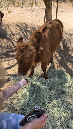 Guest photo