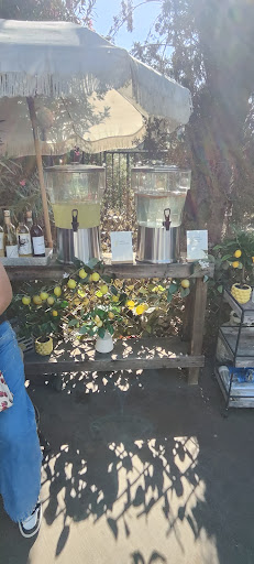 Guest photo