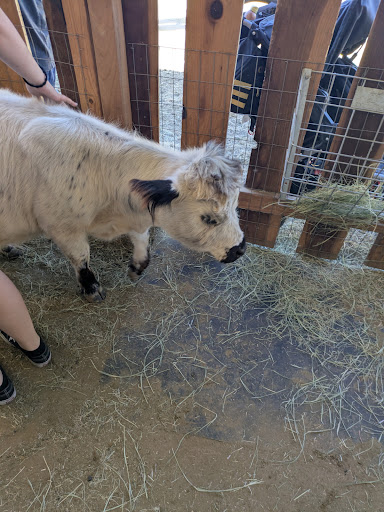 Guest photo