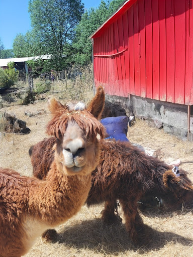 Guest photo