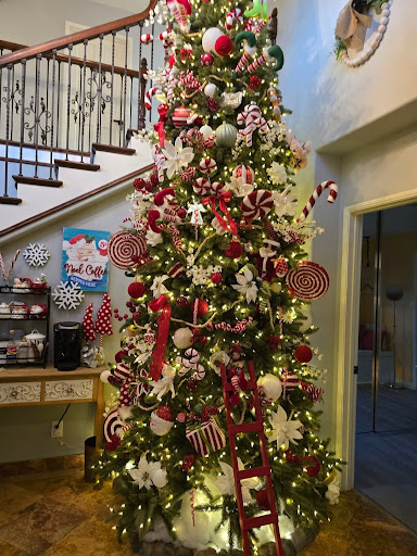 Guest photo