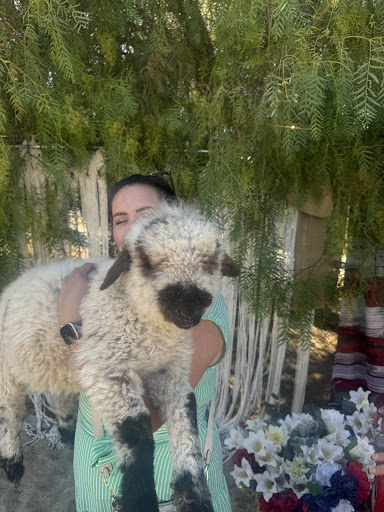 Guest photo