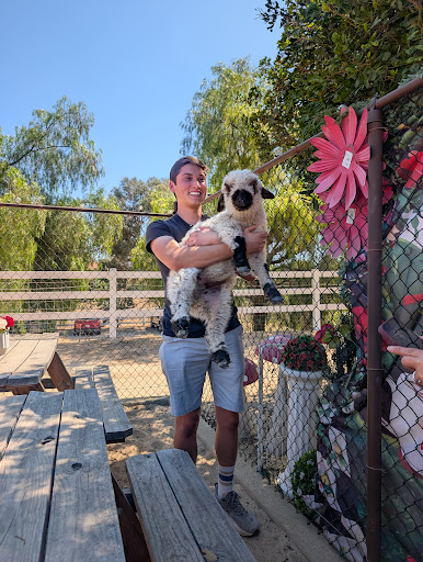 Guest photo