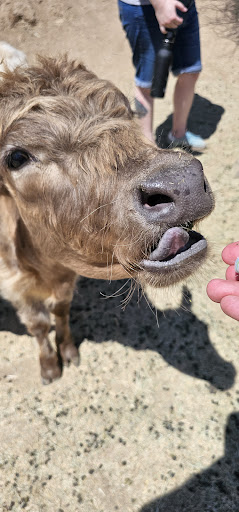 Guest photo