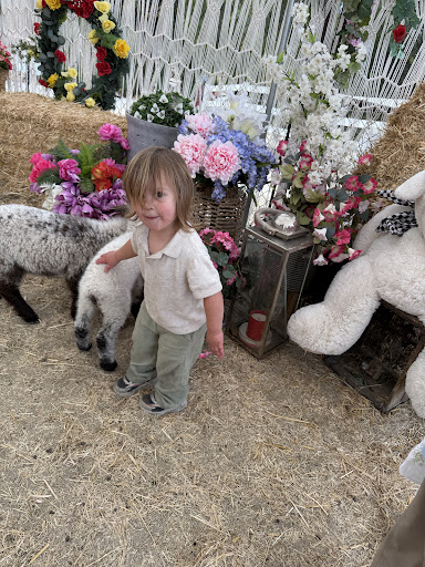 Guest photo