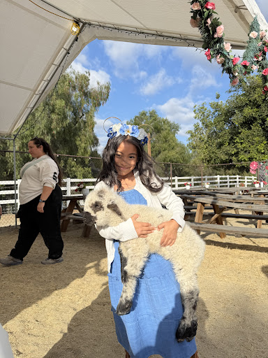 Guest photo