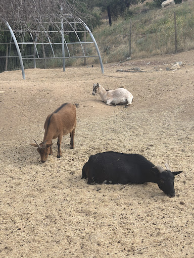 Guest photo