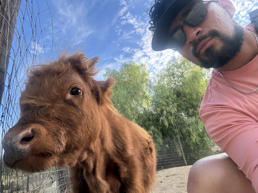 Guest photo
