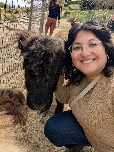 Guest photo