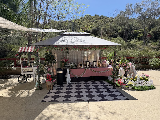 Guest photo