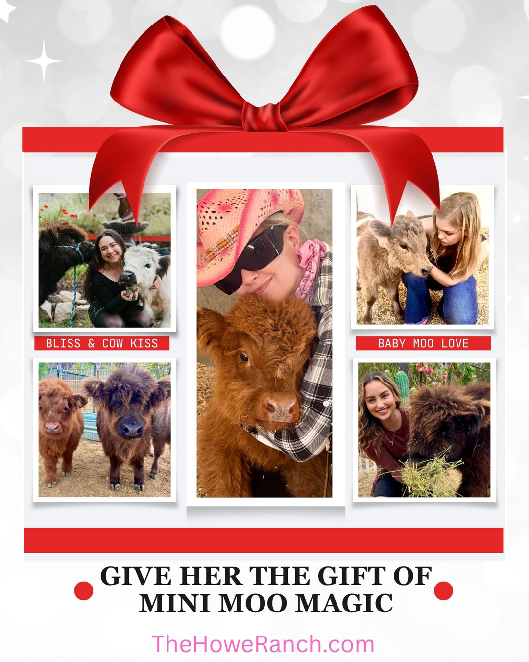 Private Mini Moo Experience at Howe Ranch